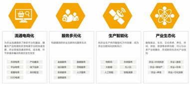 筷农 赋能农业数字化的互联网解决方案与技术咨询